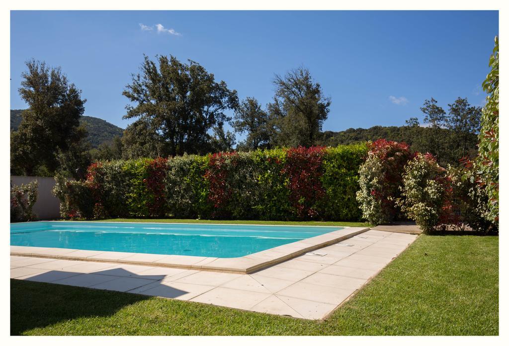Villa 4 Etoiles Sole Di Corsica Cauro Εξωτερικό φωτογραφία